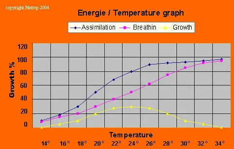 Best effect of temperature for on Cannabis plant growth room